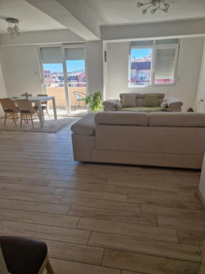 Rasadnik Apartment